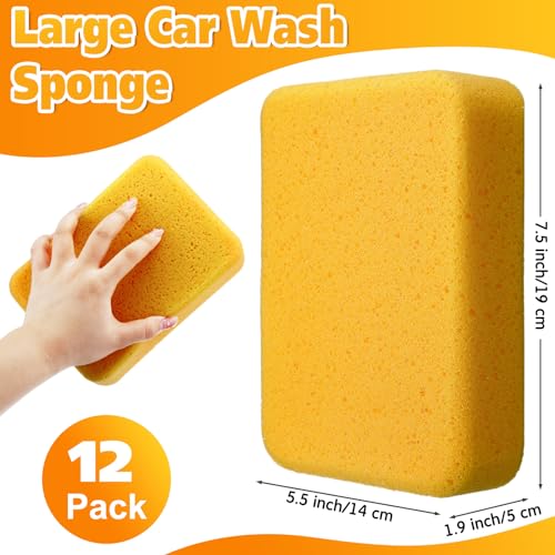 La Mejor review de Esponja grande más recomendados. 19 La Mejor review de Esponja grande más recomendados. 19