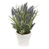 composizione floreale lavanda Composizione floreale artificiale Prov Lavanda 35 cm Vaso in gres