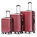 BEIBYE TSA-Schloß 2080 Zwillingsrollen 3 TLG. Reisekofferset Koffer Kofferset Trolley Trolleys Hartschale (Weinrot)