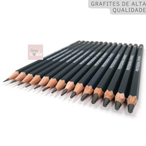 Lápis grafite profissional com estojo metálico