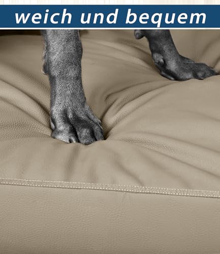 Hundebett mittelgroße Hunde für Hundebox Wasserdicht, Abnehmbarer Hundebettbezug mit Reißverschluss gegen Haaranhaftung