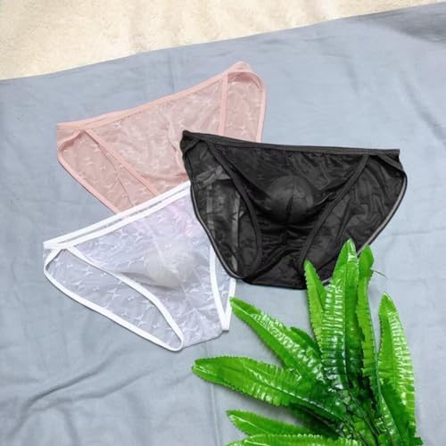 Mens Sheer Underwear Breathable Thin Pouch Mesh Slim Briefs Men Plus Size3