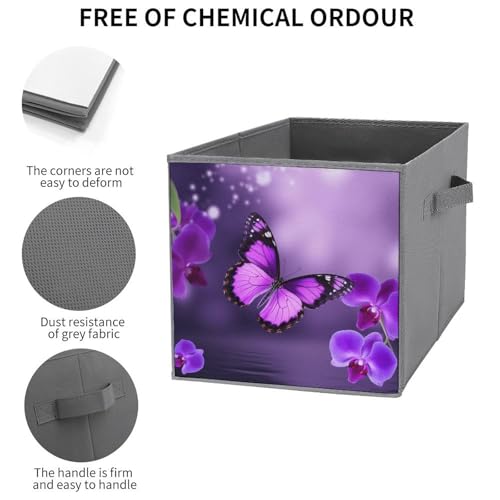 Rangement placard impeccable grâce aux 6 boîtes pliables violettes - 4