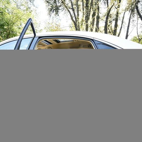 Protection pour chien siège auto arrière imperméable tapis voyage voiture - 2