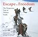Produktbild Escape to Freedom - The Dangerous Trek of Tibetan Youth