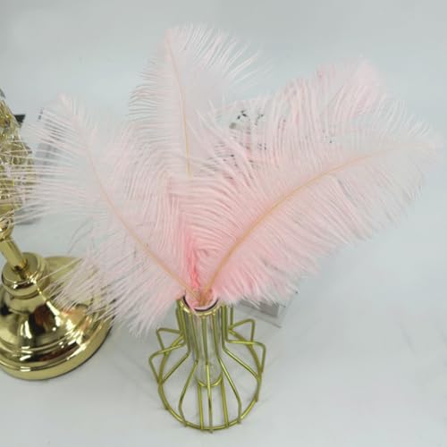 Fenisonavy Natural Ostrich Feathers 10pcs - Image 3