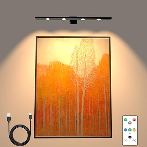 TINTINDOC Battery Picture Light Cover