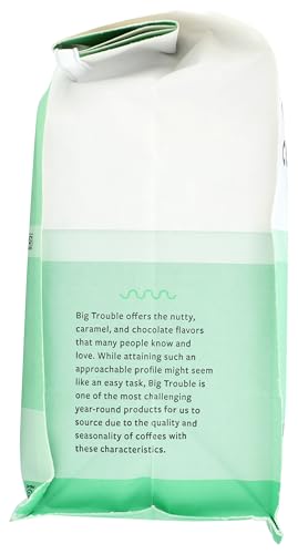 Counter Culture Coffee Big Trouble Blend Café en Grano 24 OZ miniatura 5
