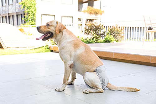 BePetMia Waschbare Windeln für Hunde, Wiederverwendbare Hundewindeln, Umweltfreundliche Damenbinden Höschen, Hygiene-Unterhose für Hunde in Hitze (XL: 60-82cm, Beige)