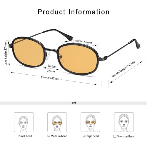 Retro Oval Sunglasses for Women Men Trendy Large Round Y2k Sunnies AP3681