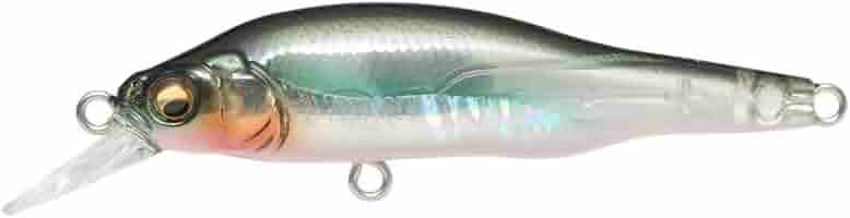Amazon.com : X-80 Jr. BFS Ito Clear Laker : Sports & Outdoors