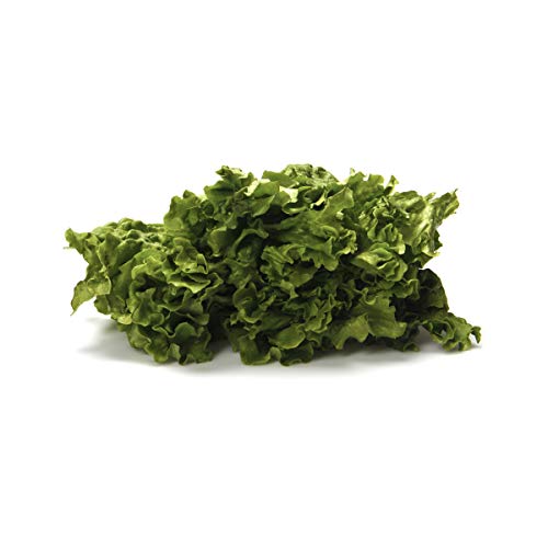 Lettuce Green Leaf Organic, 1 Each #TOP1