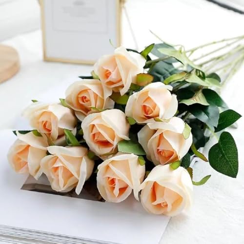 Maiitmor VNt[ o 10{Zbg  KN [Y ԑ CeA   LO o^C hCt[   u[P A[gt[ ̓ v[g ͂Ȃ lHϗtA