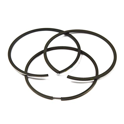 Briggs & Stratton 499425 Ensemble de bagues standard