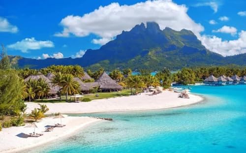 1000 pieces �t�����X�̃|���l�V�A�p�Y�� �N���G�C�e�B�u�Ȏ��R�̕��i �n�[�h�p�Y�� �ؐ��W�O�\�[�p�Y��