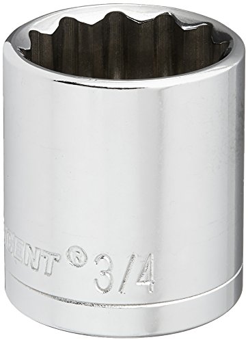 Crescent 3/8 Drive 12 Point Standard SAE Socket 3/4 - CDS31N