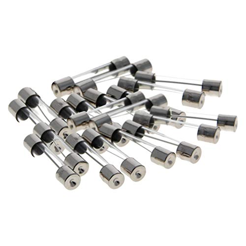 Fielect 30Pcs Fast-Blow Glass Fuses 6 x 30mm 250V 10A Glass Tube Fuse Assortment Compatible with Power Supply, Microwave, Auto Accessories, Circuit Break