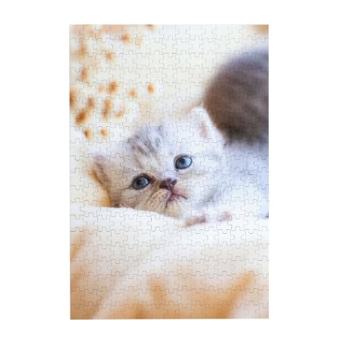 L 300s[X WO\[pY l jЂȂ J`ƃn} a  CeA MtgnEX i38×26cmj