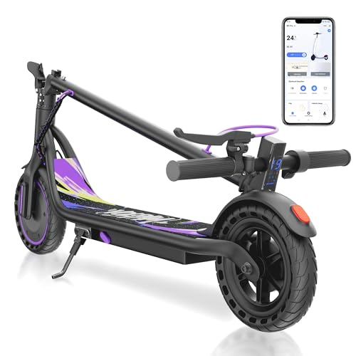 VOLPAM Electric Scooter 500W Motor