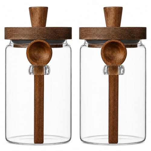 ANSQU Set of 2 Glass Coffee Canisters, 27 oz Jars with Spoons