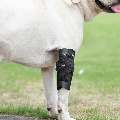 Image of (S /M) Dog Leg Brace for Back Leg, Canine Hock Brace for Legs, Joint Warps Strong Support Help for Hind Leg Injuries Sprains Arthritis