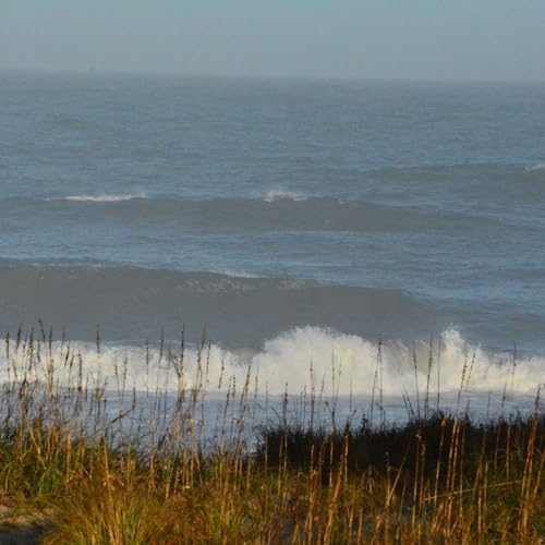 『Resonance and Relaxation: Exploring the Neptune Gong Experience』のカバーアート