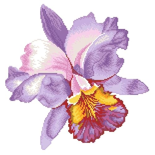 DIAMOND DOTZ Sparkle Garden Mauve with Frame Flower Diamond Painting Kits for Adults - Diamond Art Kits a Relaxing Creative Craft Kit with Dotz Gems 12\"x12\"