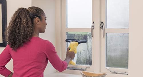 Kärcher WV 1 Window Vac