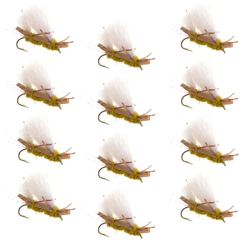 The Fly Fishing Place Chubby Chernobyl Ant Golden Foam Body Trout Fly Fishing Flies - 12 Flies - Hook Size 10 - Trout and Bass Flies