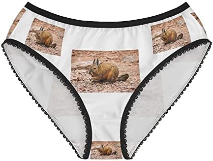 Southern Viscacha Panties, Southern Viscacha Underwear, Briefs, Cotton Briefs, Funny Underwear, Panties For Women