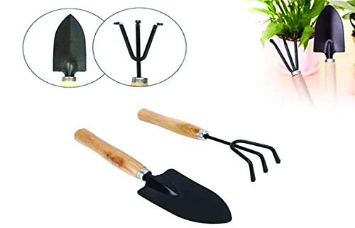 DeoDap Gardening Tools kit for Home Gardening Set | Hand Cultivator | Small Trowel | Garden Fork | with Gardening Reusable Gloves | Gardening Set with Smooth Finish Wooden Handles | Set of 4pcs |