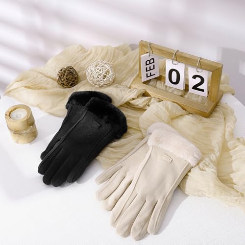 Lvefyti Winterhandschuhe Damen,Touchscreen Reithandschuhe Damen,Dicke Warm Samtfutter Motorrad Handschuhe Fausthandschuhe,Winddicht Winterhandschuhe für Skifahren Radfahren Wandern Laufen(Schwarz)