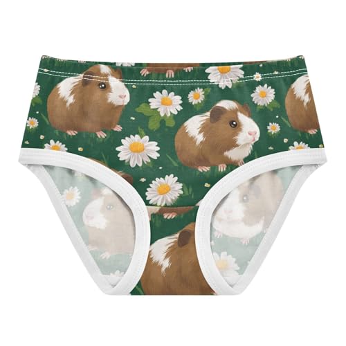 Wusikd Brown Guinea Girls' Underwear Cotton Cute Girls Briefs Soft Toddler Underwear 2T