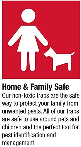 Hide N' Seal Easy Set Mouse Trap By Catchmaster - 2 Count, Ready To Use Indoors & Outdoors. Rodent Rat Heavy Gauge Trap Conceal Plastic Clean Sanitary Simple Non-Toxic No-Touch Disposal #TOP4