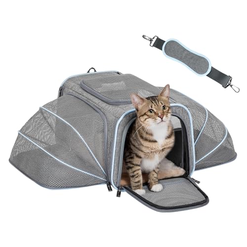 Petsfit-Small-Double-Expandable-Cat-Carrier-for-Kittens-and-Air-Travel Petsfit Small Double Expandable Cat Carrier for Kittens and Air Travel - Image 1
