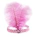 Mrotrida Sequins Feather Headpiece 1920s Carnival Party Event Vintage Headband Flapper Pink