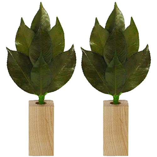 A&K v~A  嗧 Zbg vU[uh (SSTCY / 1) ֗tgp _I p (OgY) 