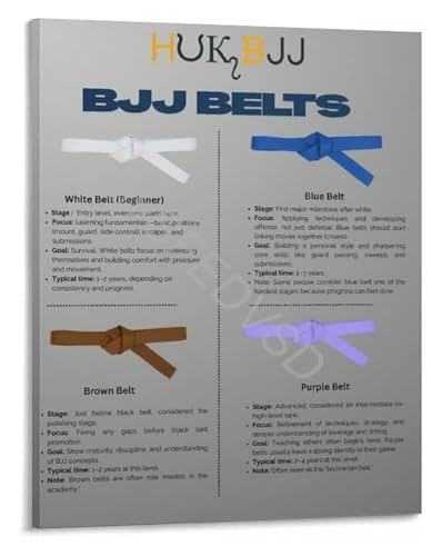 Poster BJJ graphique ceintures encadré, le cadeau idéal pour passionné de grappling - 2