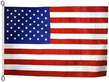 Annin Flagmakers American Flag All-Weather Nylon SolarGuard Nyl-Glo, 10 x 15 Feet (Model 2340)