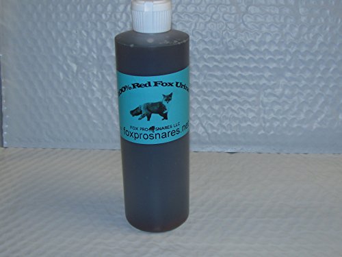 100% Red Fox Urine (1, 16 oz. (Pint))