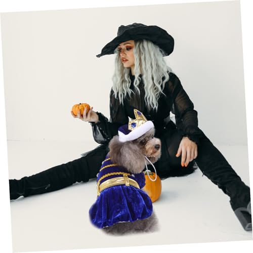 Disfraz de Halloween para perro pequeño azul oscuro miniatura 5