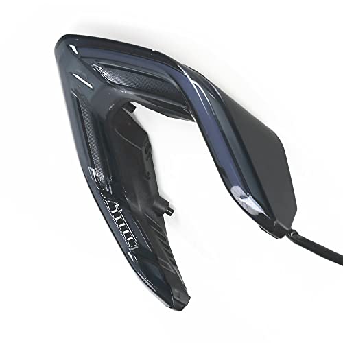 GOODELY LED Tail Brake Light Turn Signal Indicator Integrated Compatible With Panigale V4 V4S V4R V2 2018-2023,Streetfighter V4 V4S V4SP V2 V2S 2020-2023 (Smoke)