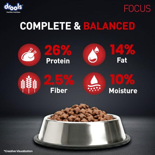 Image of Drools Focus Premium Adult Dry Dog Food 1.2kg Pack | Chicken Flavour | Growth & Intelligence | Digestive Health | Healthy Skin & Coat | Improves Immunity