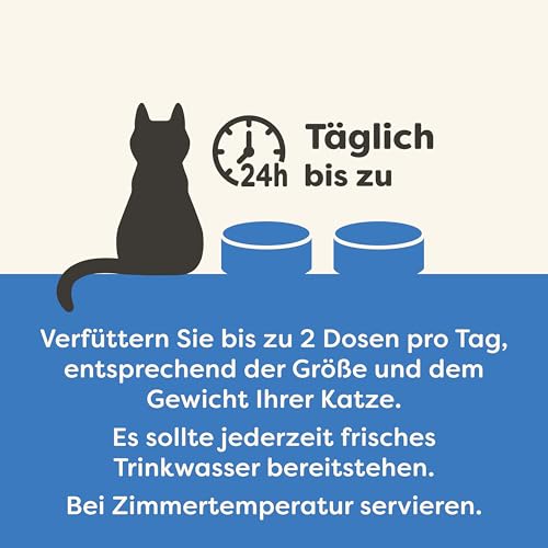 Applaws 100 % natürliches Nassfutter für ausgewachsene Katzen, Fischsortiment in Sauce Multipack, 12 × 70 g Dosen