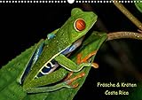 Frösche & Kröten Costa Rica (Wandkalender 2020 DIN A3 quer): Farbenprächtige Froschlurche aus Costa Rica (Monatskalender, 14 Seiten ) (CALVENDO Tiere) - Stefan Dummermuth