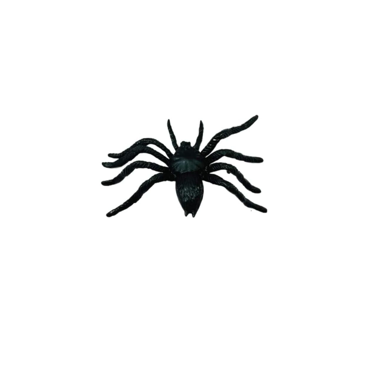 TOYSFAST (Pack of 1) Makadi Toy | Black Spider Toy, Fake Spider Insect Model for Collection Educational (B234)