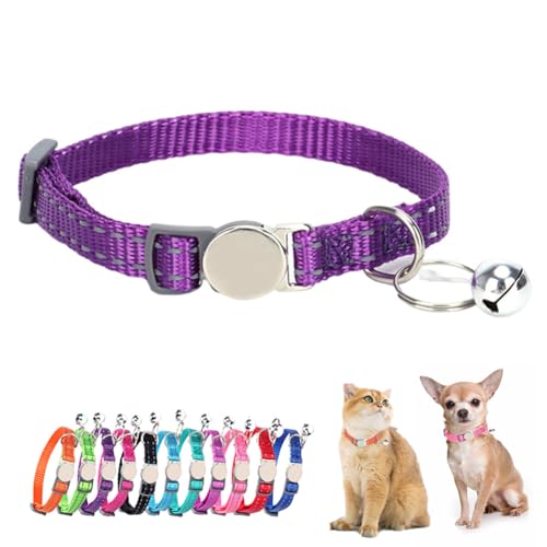 xt˔LցAS\tgiCqL̎ցAȎq̎ցAXS^pA7-11C`_[Np[v