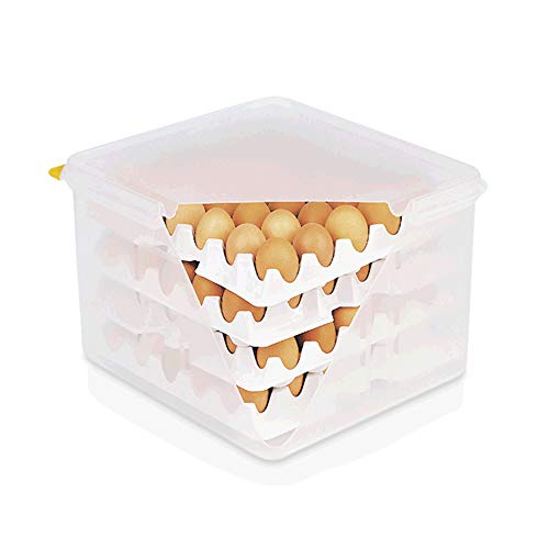 WAS 8623 120 Boîte à œufs en polypropylène HACCP 35,4 cm x 32,5 cm x 20 cm