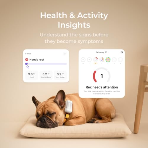 Image of Petcube GPS Tracker for Dogs - Real-Time GPS Tracking & Escape Alerts