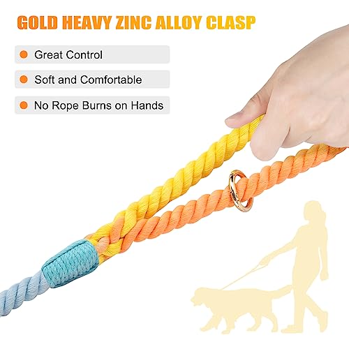 Nugutic Hundeleine, handgefertigt, geflochtenes Seil, für kleine, mittelgroße und große Hunde, 1,2 m, Regenbogen